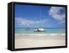 Bay Islands, Roatan, West Bay, Man Reading Book on Catamaran, Honduras-Jane Sweeney-Framed Stretched Canvas