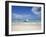 Bay Islands, Roatan, West Bay, Man Reading Book on Catamaran, Honduras-Jane Sweeney-Framed Photographic Print