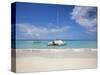 Bay Islands, Roatan, West Bay, Man Reading Book on Catamaran, Honduras-Jane Sweeney-Stretched Canvas