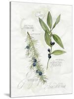 Bay Leaf and Juniper-Elissa Della-piana-Stretched Canvas