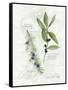 Bay Leaf and Juniper-Elissa Della-piana-Framed Stretched Canvas