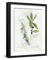 Bay Leaf and Juniper-Elissa Della-piana-Framed Art Print