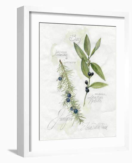 Bay Leaf and Juniper-Elissa Della-piana-Framed Art Print