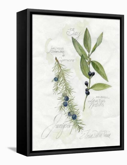 Bay Leaf and Juniper-Elissa Della-piana-Framed Stretched Canvas