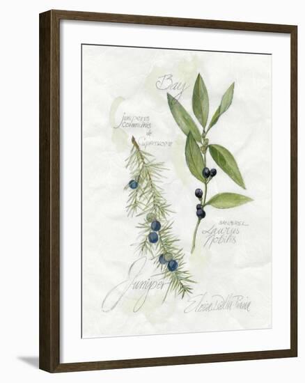 Bay Leaf and Juniper-Elissa Della-piana-Framed Art Print