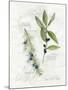 Bay Leaf and Juniper-Elissa Della-piana-Mounted Art Print