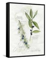 Bay Leaf and Juniper-Elissa Della-piana-Framed Stretched Canvas