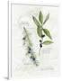 Bay Leaf and Juniper-Elissa Della-piana-Framed Art Print