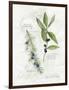 Bay Leaf and Juniper-Elissa Della-piana-Framed Art Print