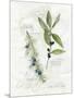 Bay Leaf and Juniper-Elissa Della-piana-Mounted Art Print