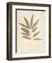 Bay Leaves-Amy Melious-Framed Art Print