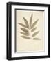 Bay Leaves-Amy Melious-Framed Art Print