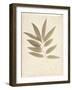 Bay Leaves-Amy Melious-Framed Art Print