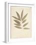 Bay Leaves-Amy Melious-Framed Art Print