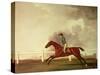 Bay Malton with John Singleton Up, circa 1767-George Stubbs-Stretched Canvas