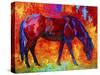 Bay Mare II-Marion Rose-Stretched Canvas