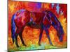 Bay Mare II-Marion Rose-Mounted Giclee Print