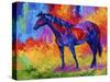 Bay Mare III-Marion Rose-Stretched Canvas