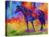 Bay Mare III-Marion Rose-Stretched Canvas