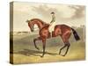 Bay Middleton, winner of the Derby in 1836, after John Frederick Herring-John Frederick Herring II-Stretched Canvas