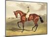 Bay Middleton, winner of the Derby in 1836, after John Frederick Herring-John Frederick Herring II-Mounted Giclee Print