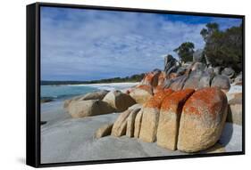 Bay of Fire, Voted One of the Most Beautiful Beaches in the World, Tasmania, Australia, Pacific-Michael Runkel-Framed Stretched Canvas