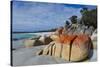 Bay of Fire, Voted One of the Most Beautiful Beaches in the World, Tasmania, Australia, Pacific-Michael Runkel-Stretched Canvas