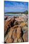 Bay of Fire, Voted One of the Most Beautiful Beaches in the World, Tasmania, Australia, Pacific-Michael Runkel-Mounted Photographic Print