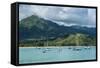 Bay of Hanalai on the Island of Kauai, Hawaii, United States of America, Pacific-Michael Runkel-Framed Stretched Canvas