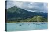 Bay of Hanalai on the Island of Kauai, Hawaii, United States of America, Pacific-Michael Runkel-Stretched Canvas