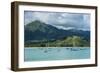 Bay of Hanalai on the Island of Kauai, Hawaii, United States of America, Pacific-Michael Runkel-Framed Photographic Print