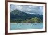 Bay of Hanalai on the Island of Kauai, Hawaii, United States of America, Pacific-Michael Runkel-Framed Photographic Print