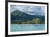 Bay of Hanalai on the Island of Kauai, Hawaii, United States of America, Pacific-Michael Runkel-Framed Photographic Print