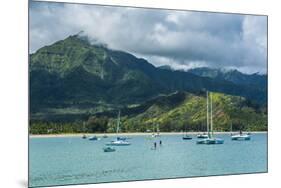 Bay of Hanalai on the Island of Kauai, Hawaii, United States of America, Pacific-Michael Runkel-Mounted Photographic Print