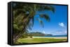 Bay of Hanalai on the Island of Kauai, Hawaii, United States of America, Pacific-Michael Runkel-Framed Stretched Canvas