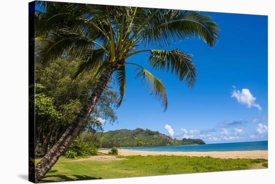 Bay of Hanalai on the Island of Kauai, Hawaii, United States of America, Pacific-Michael Runkel-Stretched Canvas