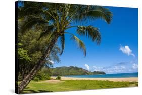 Bay of Hanalai on the Island of Kauai, Hawaii, United States of America, Pacific-Michael Runkel-Stretched Canvas