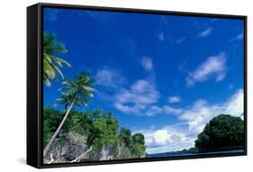 Bay of Honeymoon Island, World Heritage Site, Rock Islands, Palau-Stuart Westmoreland-Framed Stretched Canvas