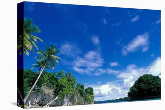 Bay of Honeymoon Island, World Heritage Site, Rock Islands, Palau-Stuart Westmoreland-Stretched Canvas