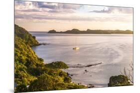 Bay of Islands at Sunrise, Seen from Russell, Northland Region, North Island, New Zealand, Pacific-Matthew Williams-Ellis-Mounted Premium Photographic Print