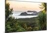 Bay of Islands Coastline at Sunrise, Seen from Russell, Northland Region, North Island, New Zealand-Matthew Williams-Ellis-Mounted Photographic Print