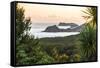 Bay of Islands Coastline at Sunrise, Seen from Russell, Northland Region, North Island, New Zealand-Matthew Williams-Ellis-Framed Stretched Canvas