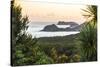 Bay of Islands Coastline at Sunrise, Seen from Russell, Northland Region, North Island, New Zealand-Matthew Williams-Ellis-Stretched Canvas