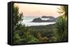 Bay of Islands Coastline at Sunrise, Seen from Russell, Northland Region, North Island, New Zealand-Matthew Williams-Ellis-Framed Stretched Canvas
