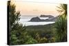 Bay of Islands Coastline at Sunrise, Seen from Russell, Northland Region, North Island, New Zealand-Matthew Williams-Ellis-Stretched Canvas