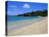 Bay of Islands, Northland, North Island, New Zealand, Pacific-Neale Clarke-Stretched Canvas