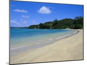 Bay of Islands, Northland, North Island, New Zealand, Pacific-Neale Clarke-Mounted Photographic Print
