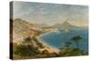 Bay of Naples in the Mid-1800s-null-Stretched Canvas