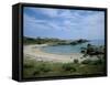 Bay on the Coast, Asinara, Sardinia, Italy, Mediterranean-Oliviero Olivieri-Framed Stretched Canvas