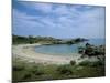 Bay on the Coast, Asinara, Sardinia, Italy, Mediterranean-Oliviero Olivieri-Mounted Photographic Print